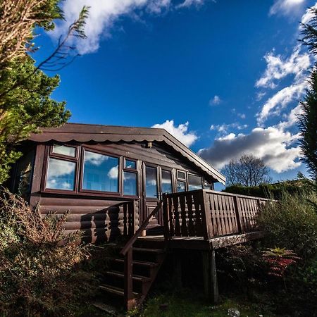 Log Cabin Nr Coed Y Brenin By Seren Short Stays Trawsfynydd Exterior foto